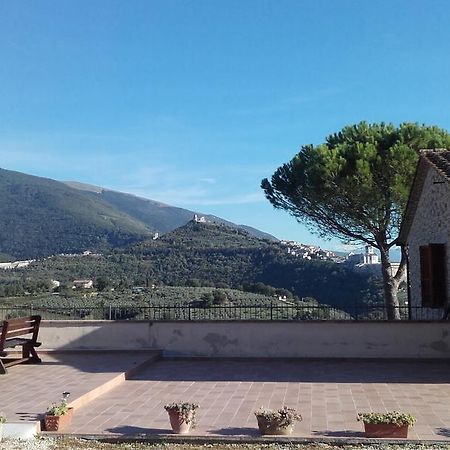 B&B Colle San Francesco Assisi Ngoại thất bức ảnh
