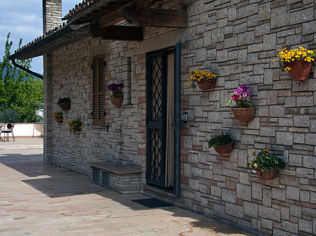 B&B Colle San Francesco Assisi Ngoại thất bức ảnh