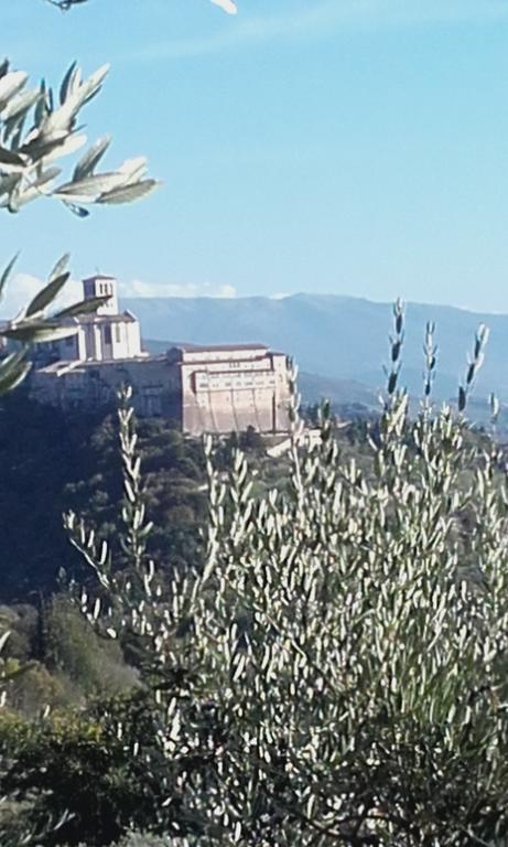 B&B Colle San Francesco Assisi Ngoại thất bức ảnh