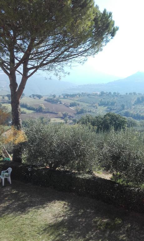 B&B Colle San Francesco Assisi Ngoại thất bức ảnh